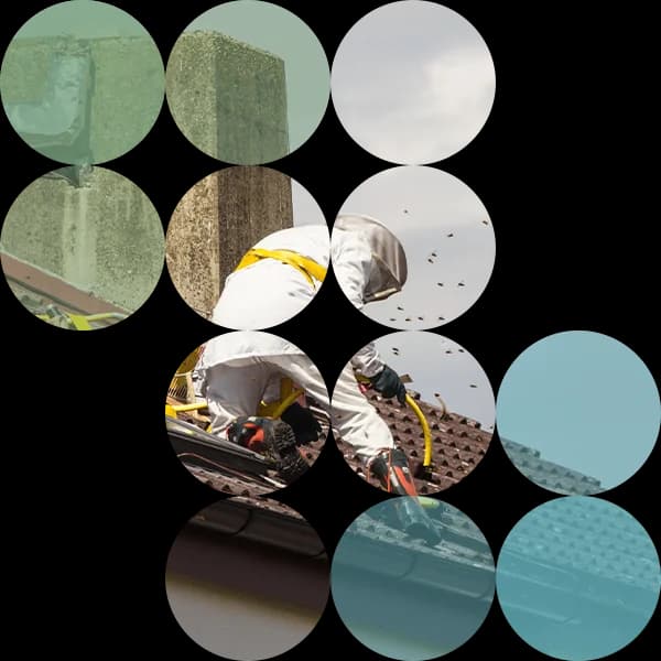 Direct Pest Control in action